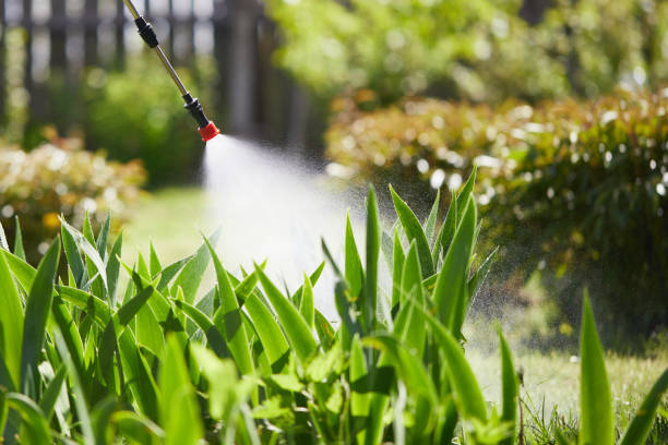 24/7 Emergency Ant Control experts in Lanark, IL