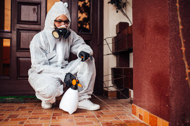 Reliable Ant Control contractor in Lanark, IL by Show Me Pest Control
